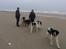 Blanding af racer Ayla - Vejers strand :)
