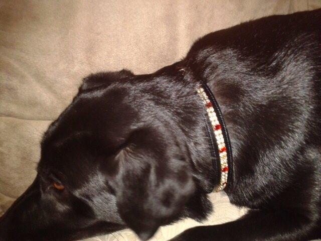Labrador retriever Bella - Så fik vi lavet bling halsbånd med materialer fra WM galleri billede 22