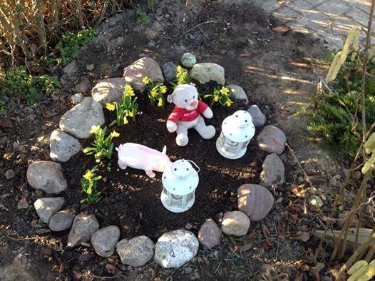 Dansk svensk gaardhund Nicki - Nicki's sidste hvilested - 19. december 2013 :'-( billede 20