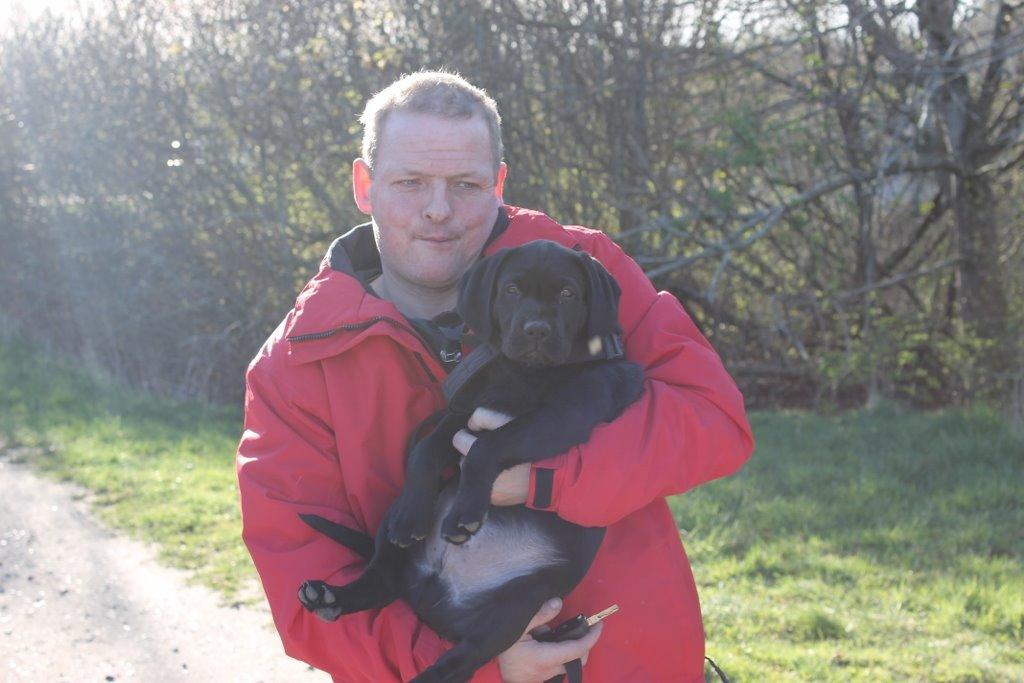 Labrador retriever Obelix billede 26