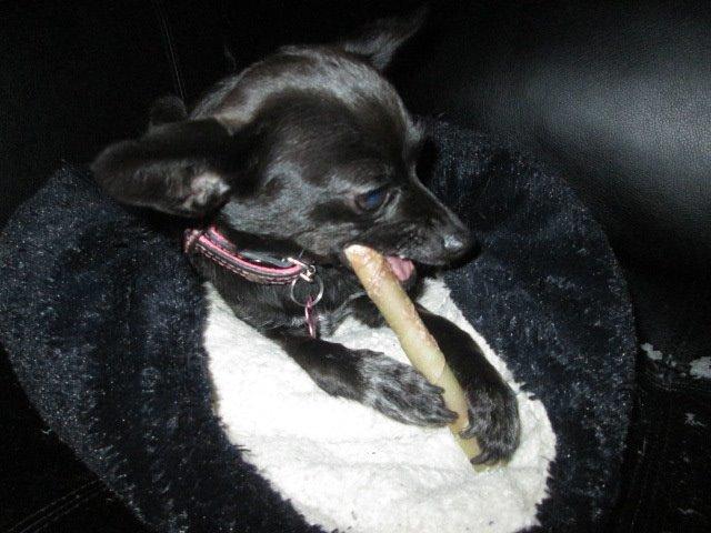 Blanding af racer Qiwi billede 31