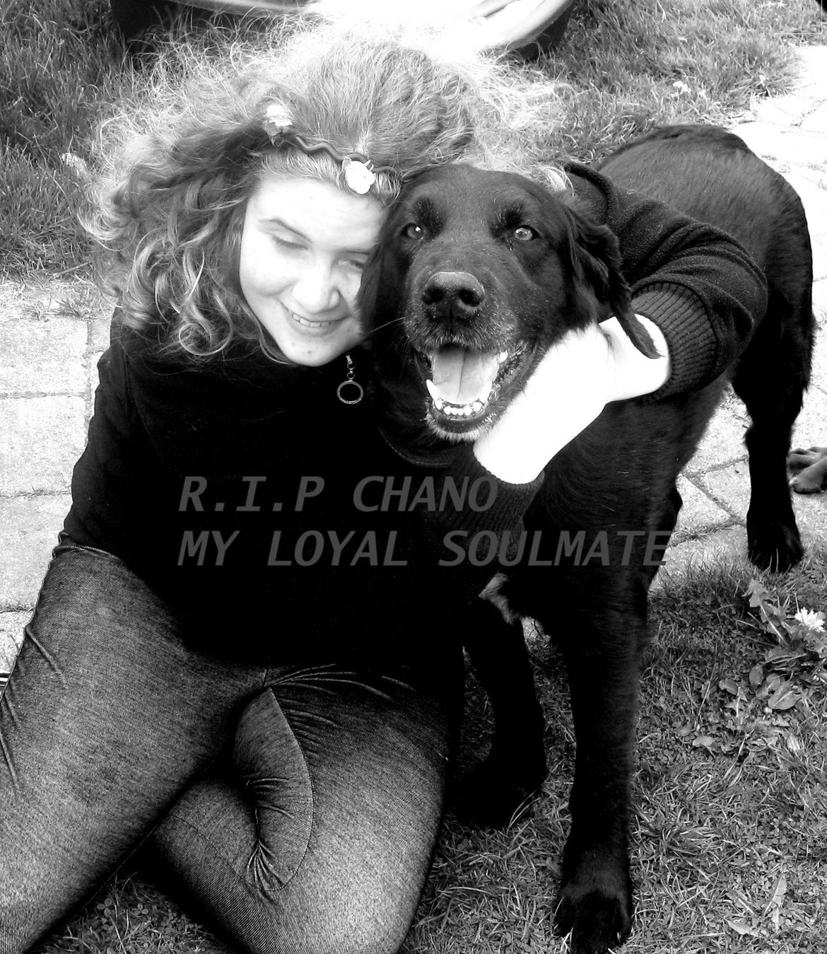 Blanding af racer Chano my soulmate!<3 billede 1