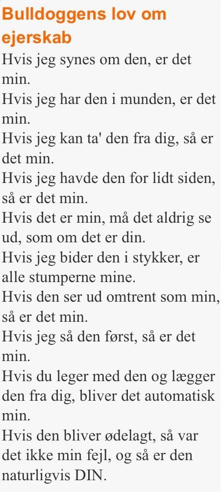 Fransk bulldog Møffe (Bjarne). billede 25