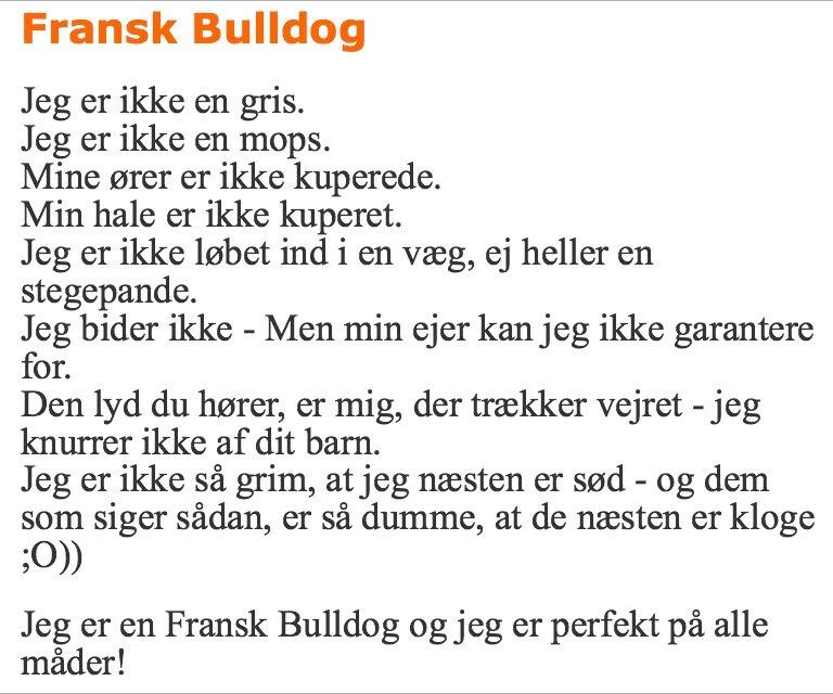 Fransk bulldog Møffe (Bjarne). billede 26