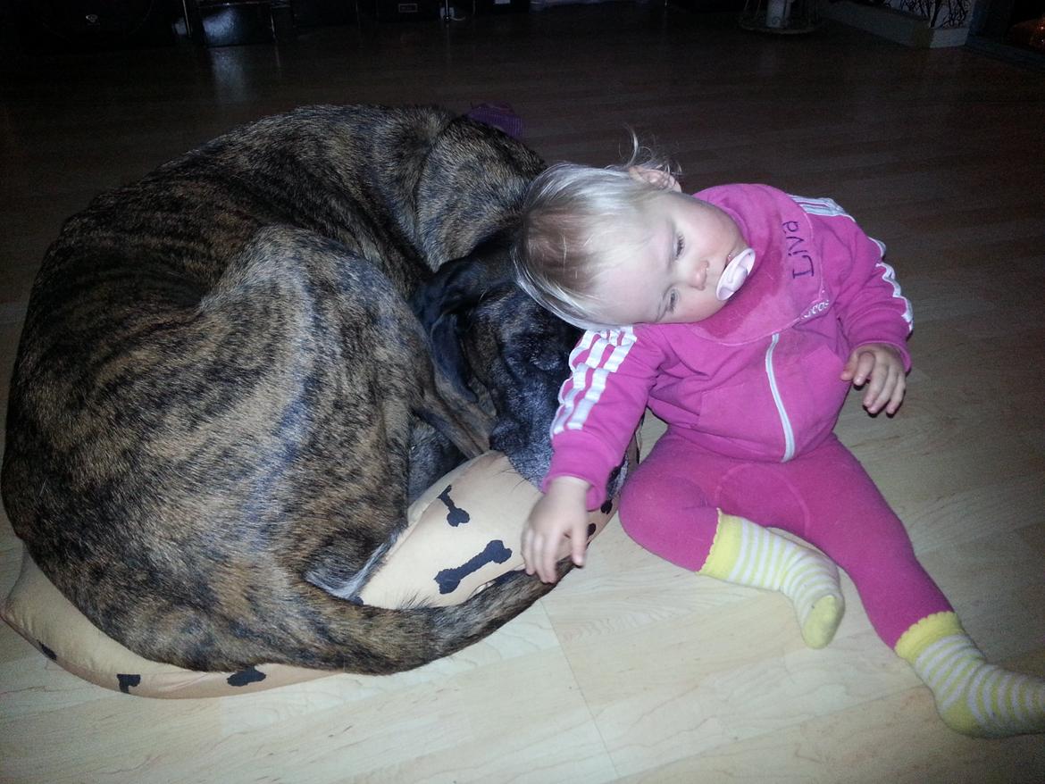 Blanding af racer Ozzy - Det er dejligt med børn omkring mig.  billede 21