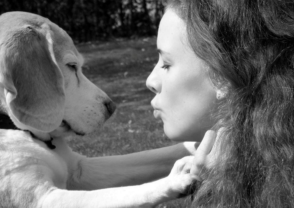 Beagle Winters Snow Barry - Velkommen til Balto´s profil <3 billede 1