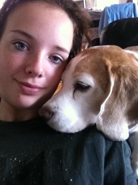 Beagle Winters Snow Barry billede 24