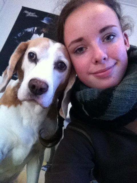 Beagle Winters Snow Barry - Tak for kigget <3 billede 30