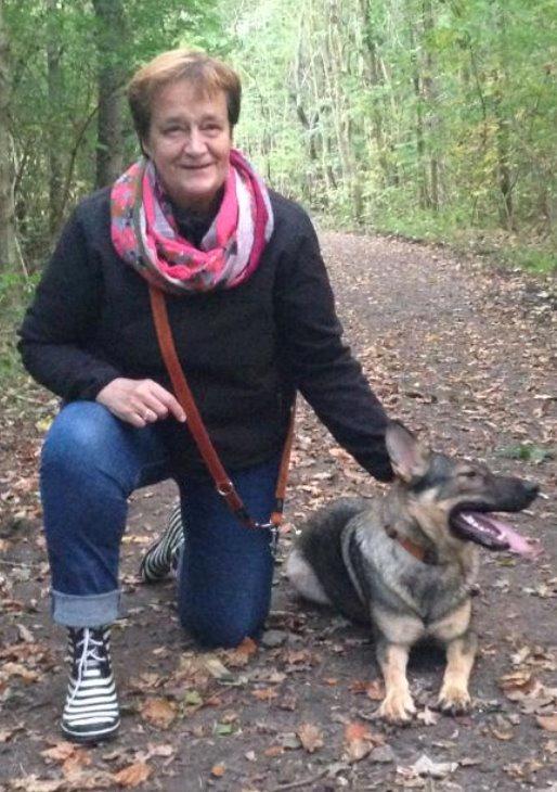 Schæferhund Team Englund`s Cookie billede 8