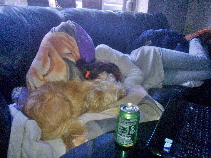 Blanding af racer Czapi billede 3