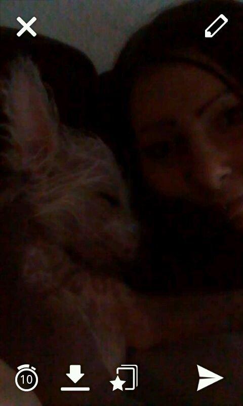 Chinese crested hårløs Felix billede 7