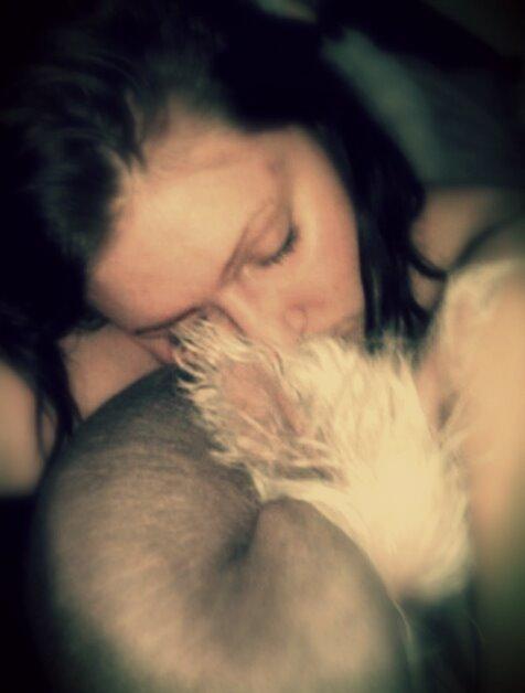 Chinese crested hårløs Felix billede 8