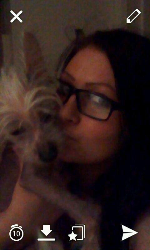 Chinese crested hårløs Felix billede 10