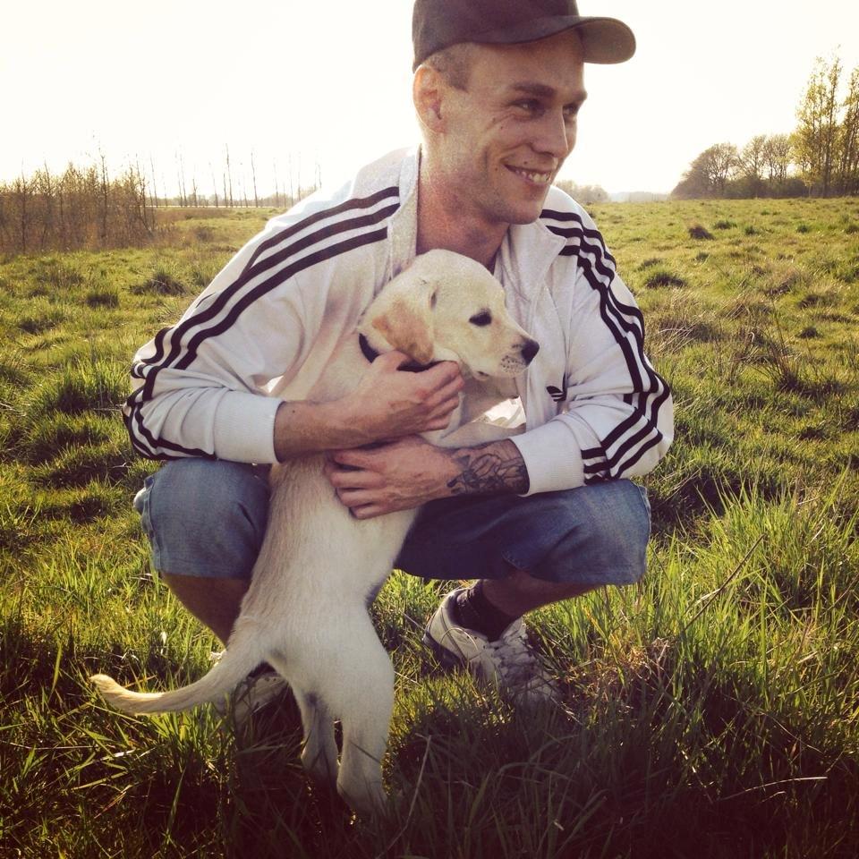 Blanding af racer Simba billede 20