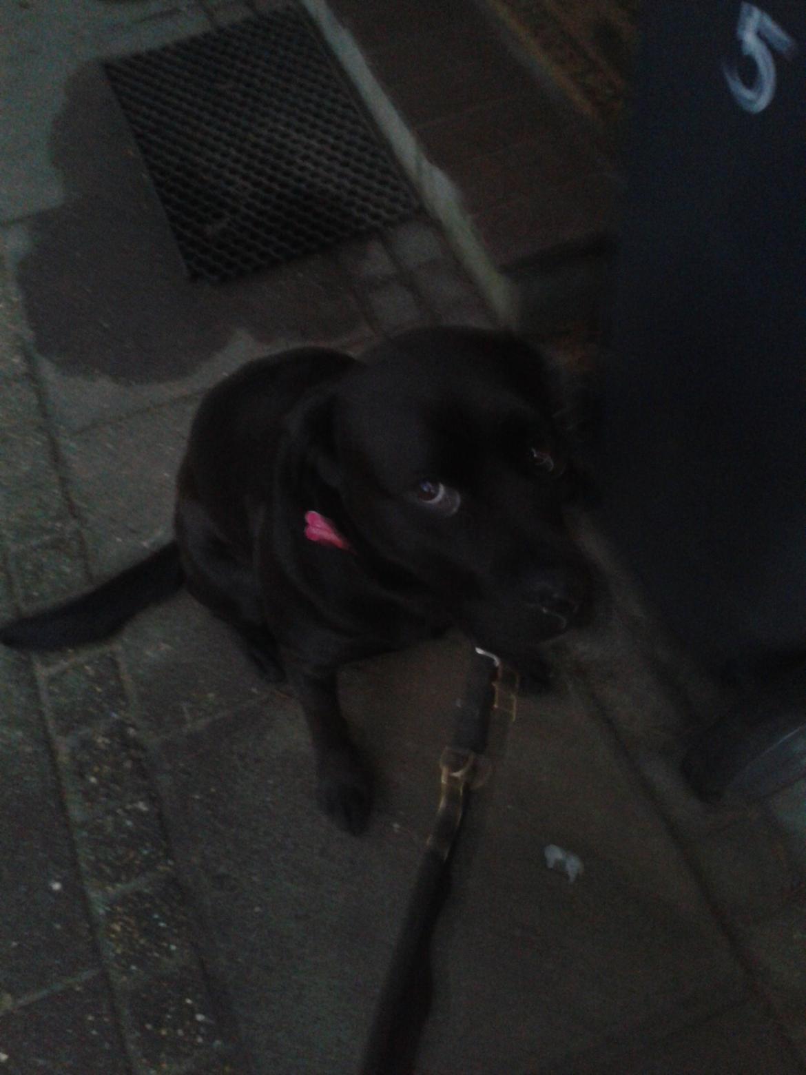 Blanding af racer chica billede 6