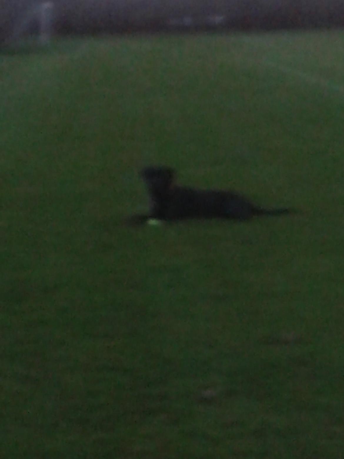 Blanding af racer chica billede 7