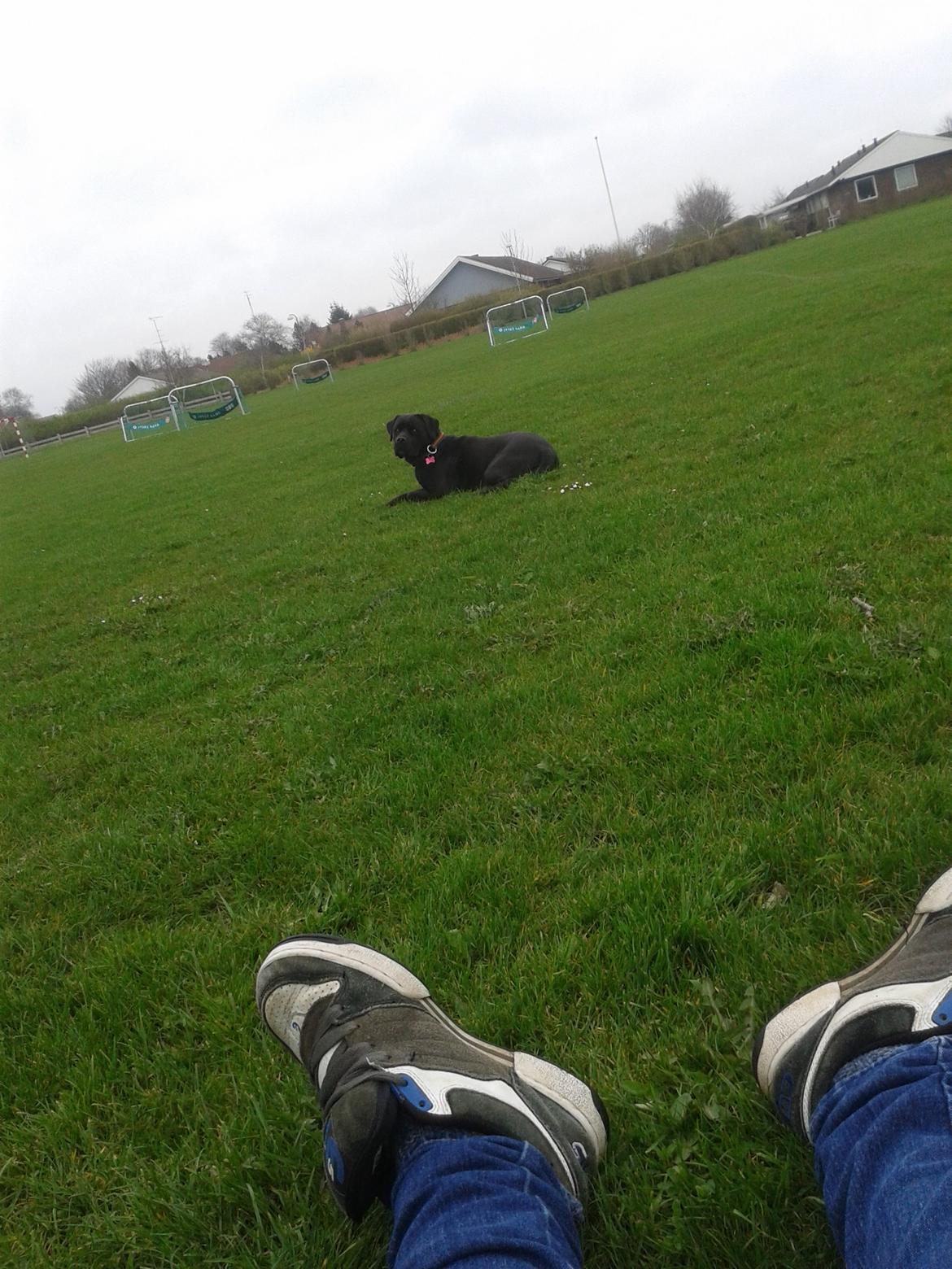 Blanding af racer chica billede 14