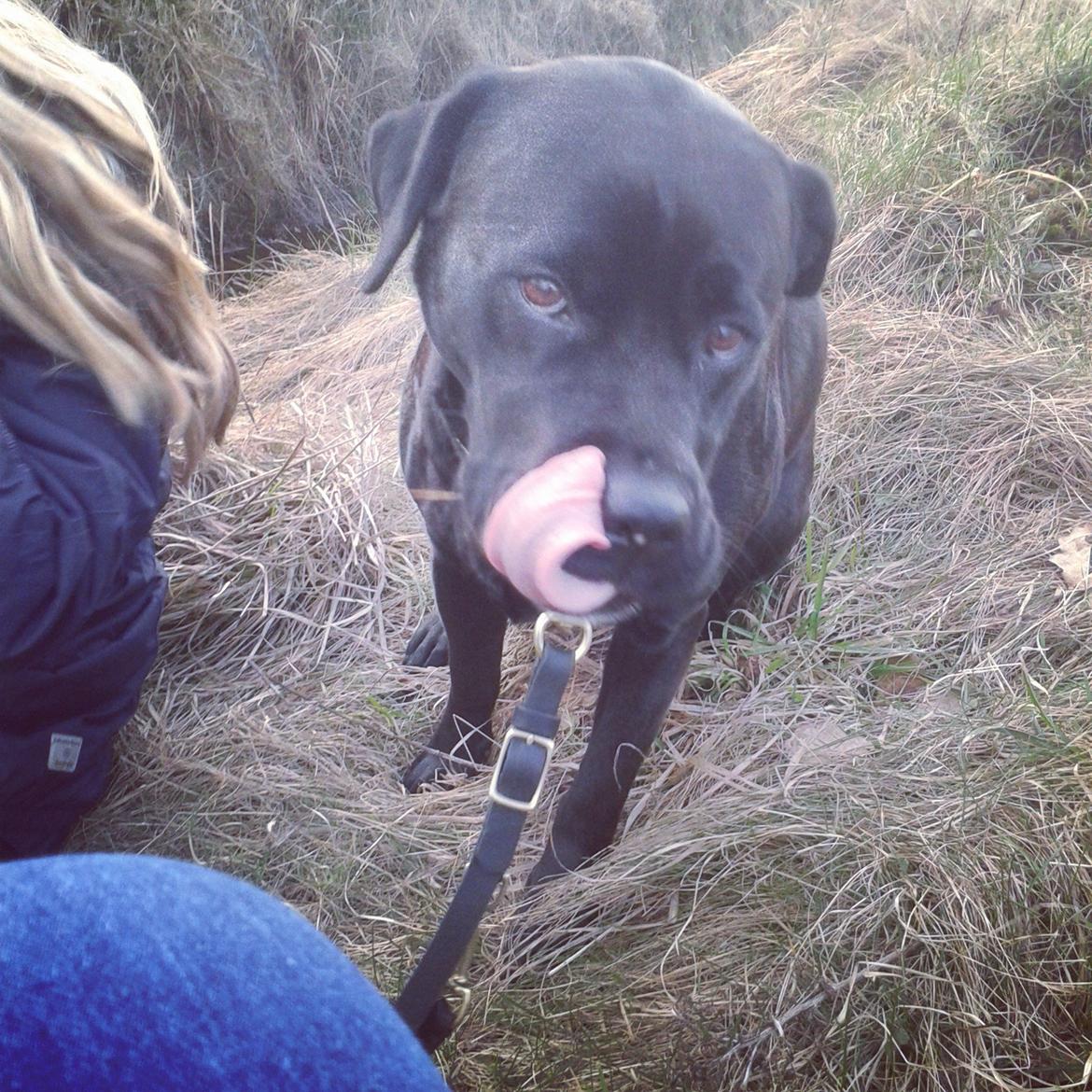 Blanding af racer chica billede 15