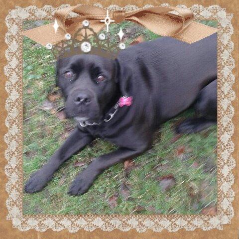 Blanding af racer chica billede 19