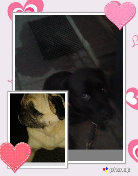 Blanding af racer chica billede 20