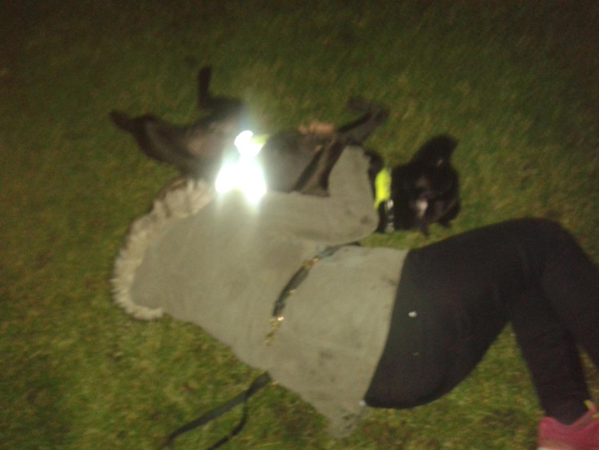 Blanding af racer chica billede 23