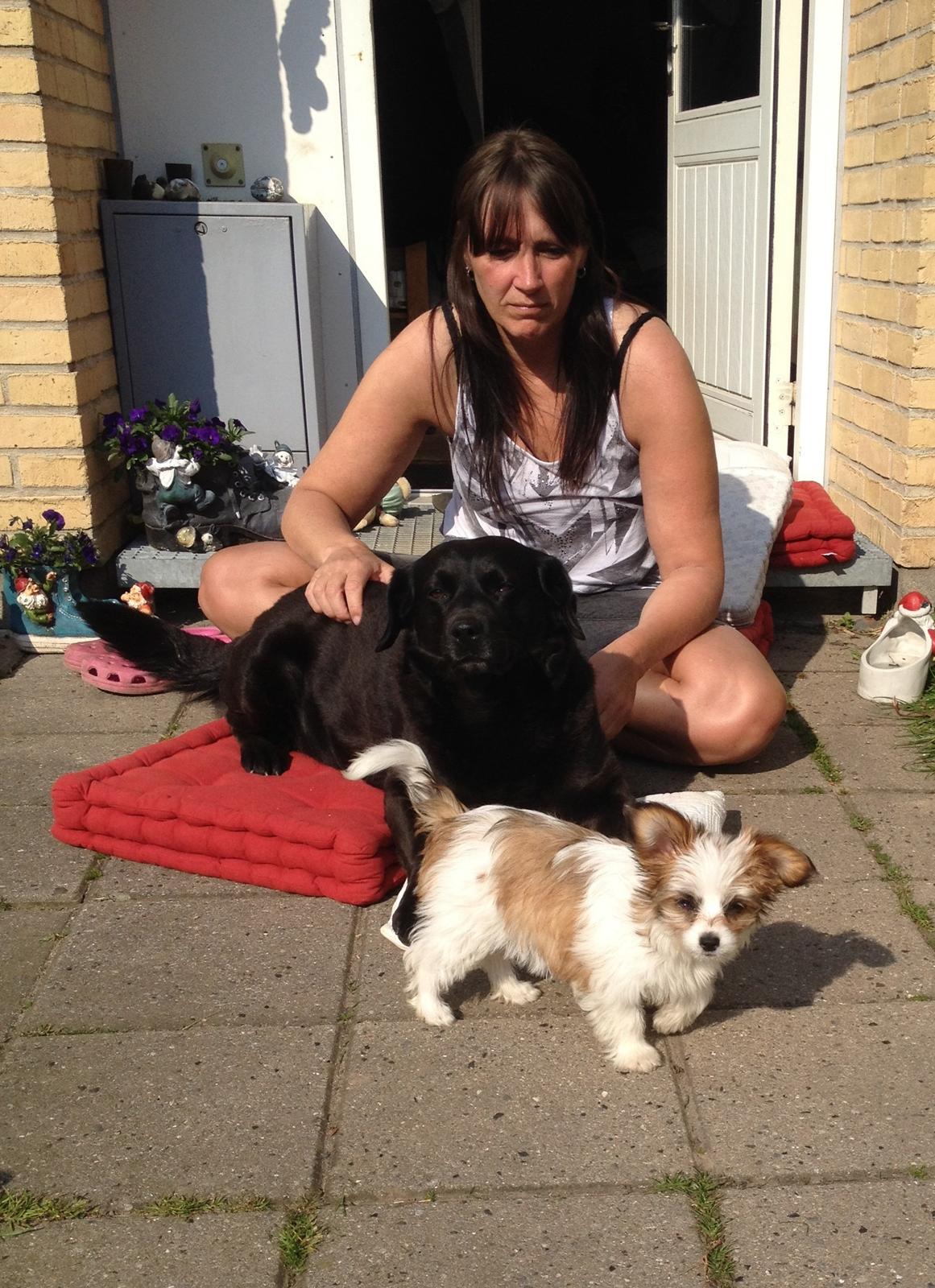 Blanding af racer Bella billede 48