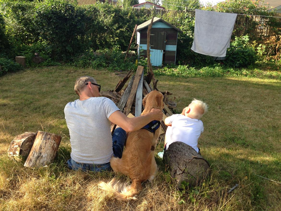 Hovawart Gaya - Hygge ved bålpladsen billede 8