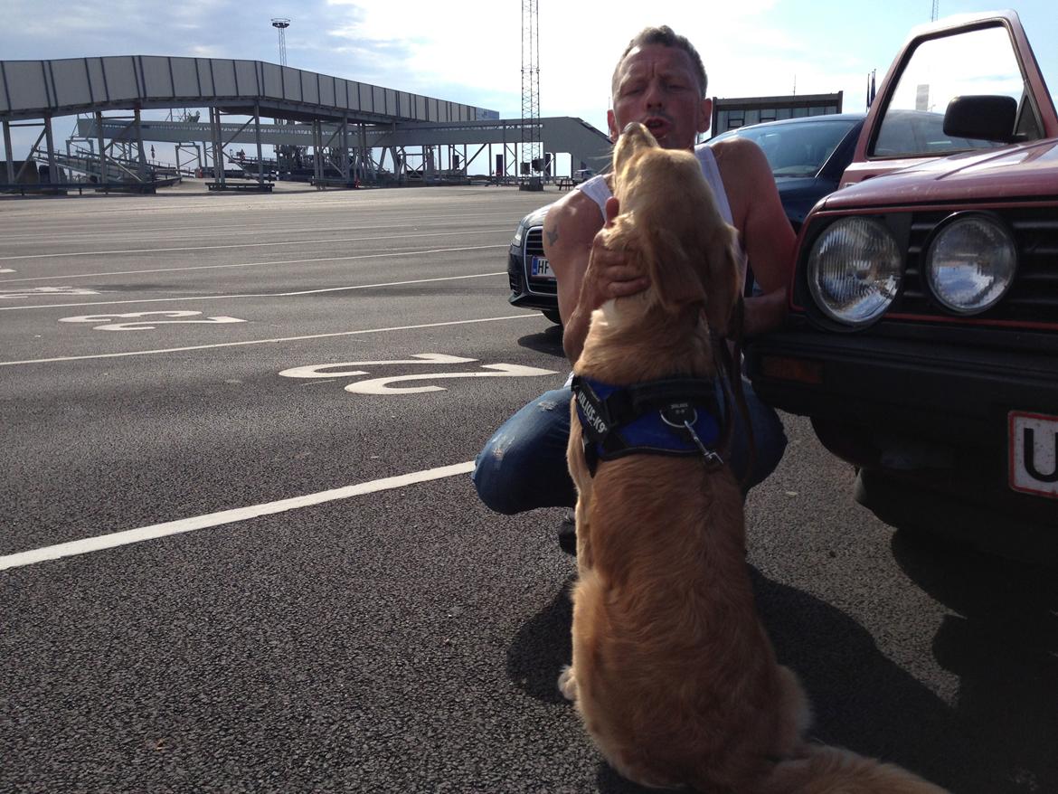 Hovawart Gaya - Venter med far på færgen HJEM billede 13