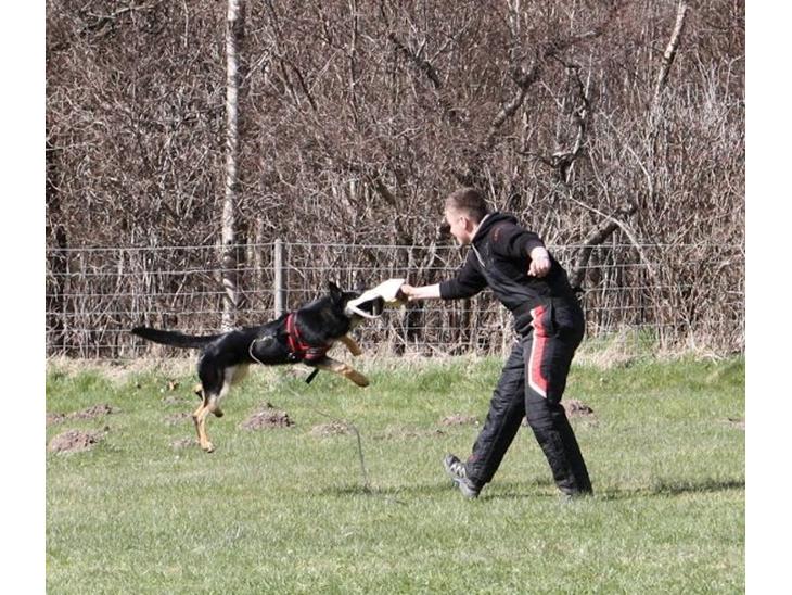 {{currentPhoto.altText}} billede {{currentPhoto.number}}