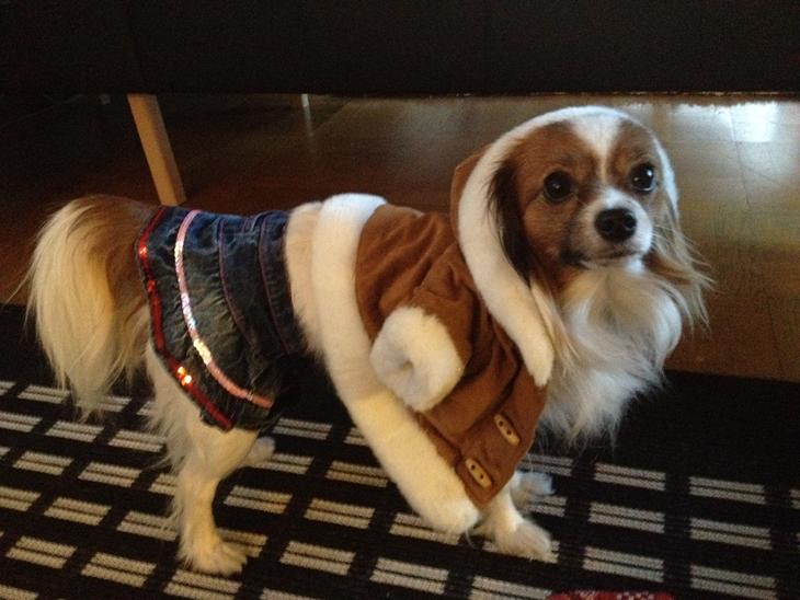 {{currentPhoto.altText}} billede {{currentPhoto.number}}