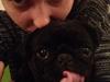 Mops Nova