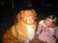 Nova scotia duck tolling retriever Red Dream's Chang Van Vito