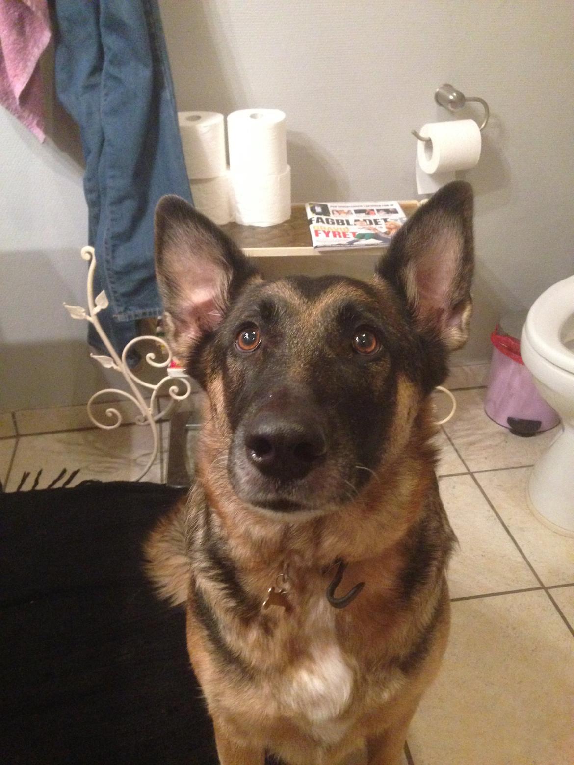 Blanding af racer Frk. Jensen - Er du færdig med at være i bad. Er det så ikke min tur PLEASE billede 1