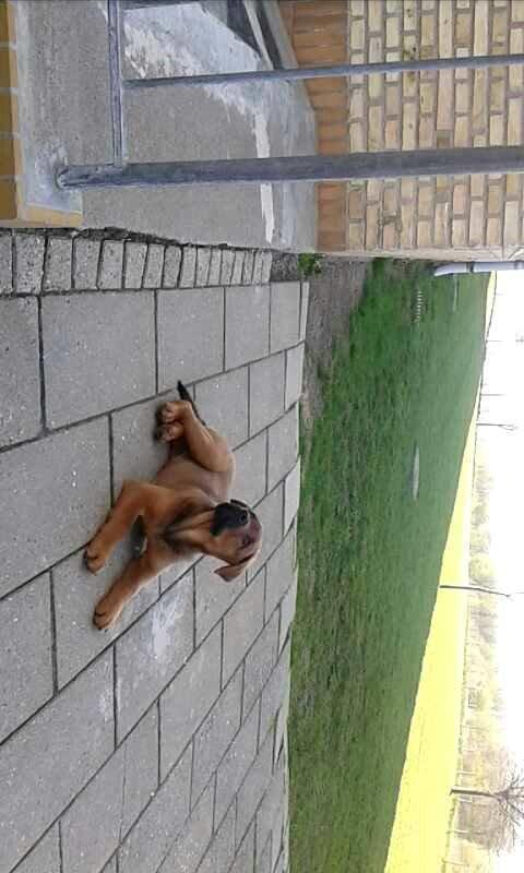 Blanding af racer ArNold<3 - FLOTTE FYR<3 billede 27