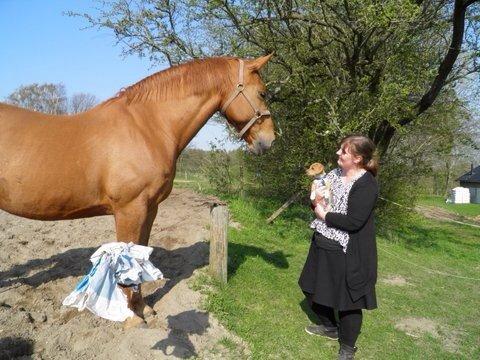 Blanding af racer Viktor billede 3