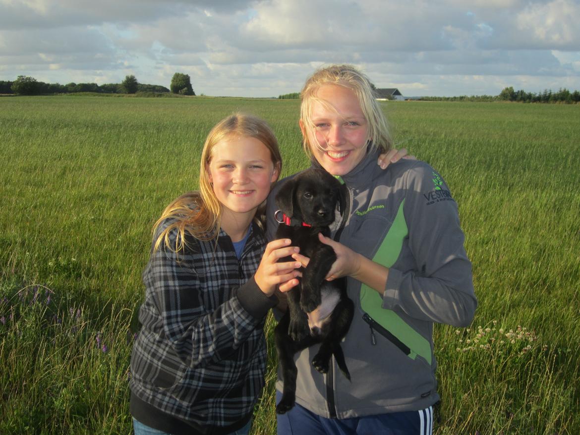 Blanding af racer Ziwa billede 5