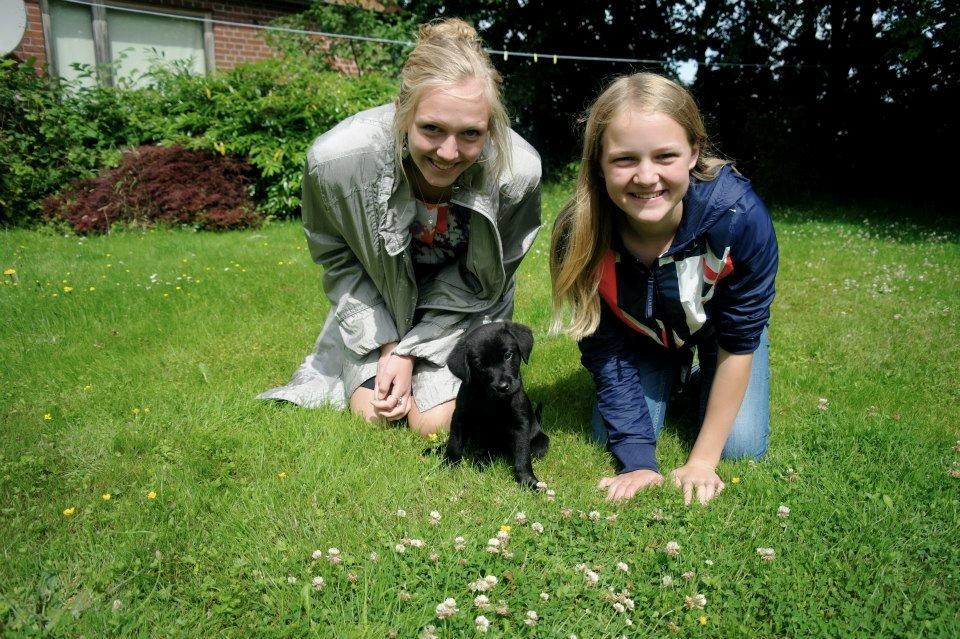 Blanding af racer Ziwa billede 8