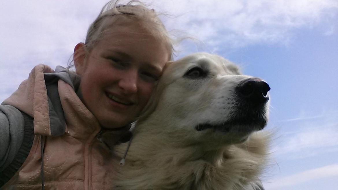 Blanding af racer Max <3 - Du er squ den bedste hund ever!!<3 billede 18