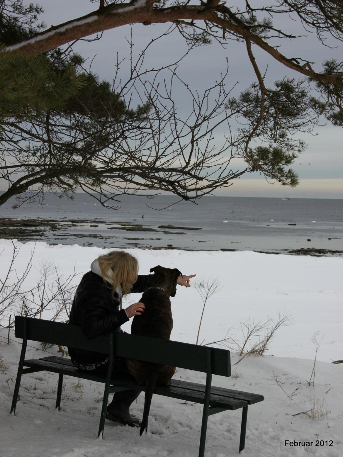 Blanding af racer $ Dollar $ billede 10