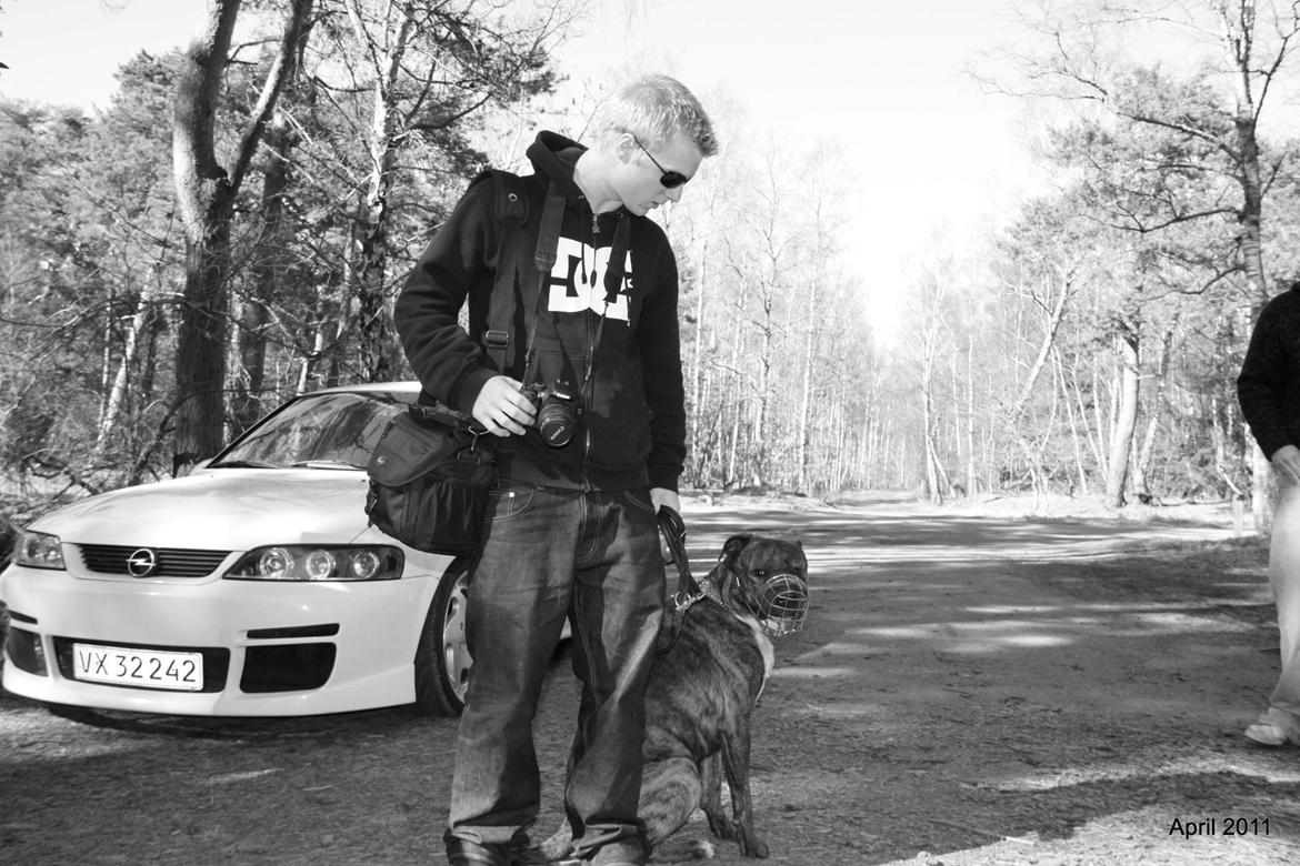 Blanding af racer $ Dollar $ billede 13