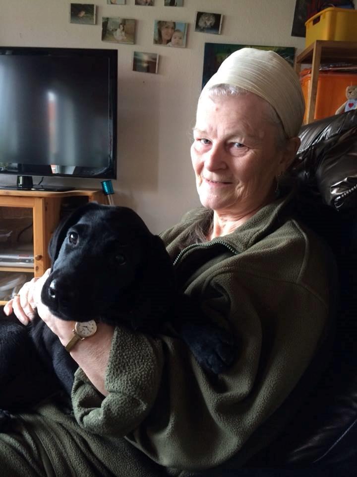 Blanding af racer Trixie billede 4