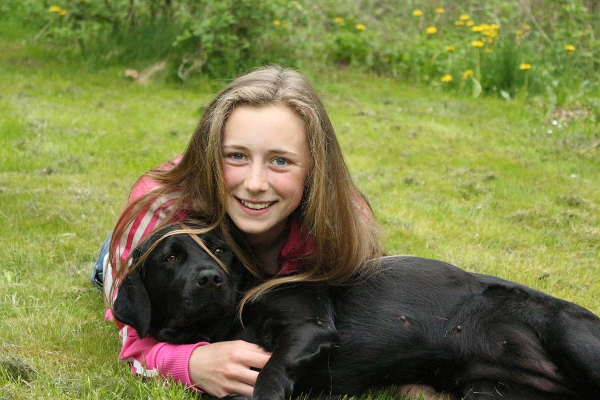 Labrador retriever Maggie (lille hunden) - Lidt mere kærlighed <3 billede 7