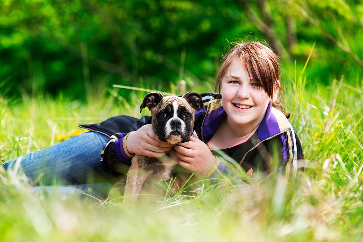 Olde english bulldogge BB Bulldogs Mocca - Mocca og datteren <3 billede 21