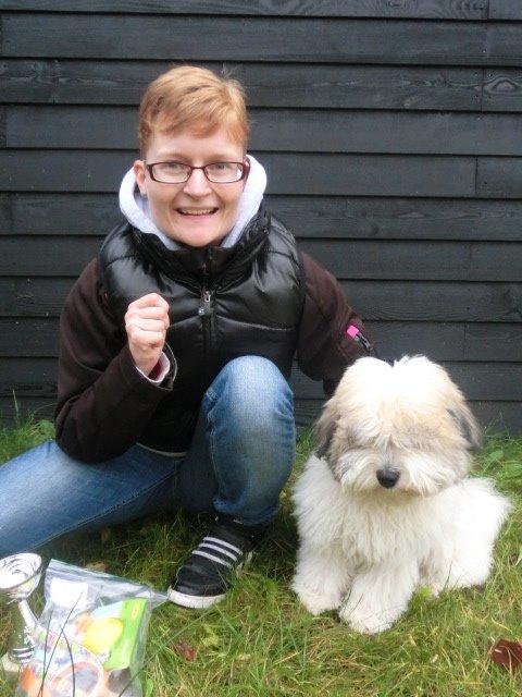 Coton de tulear Godts Coton Balto billede 3