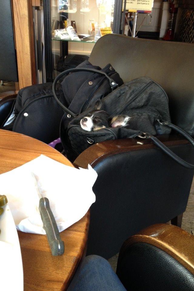 Blanding af racer Diva billede 5