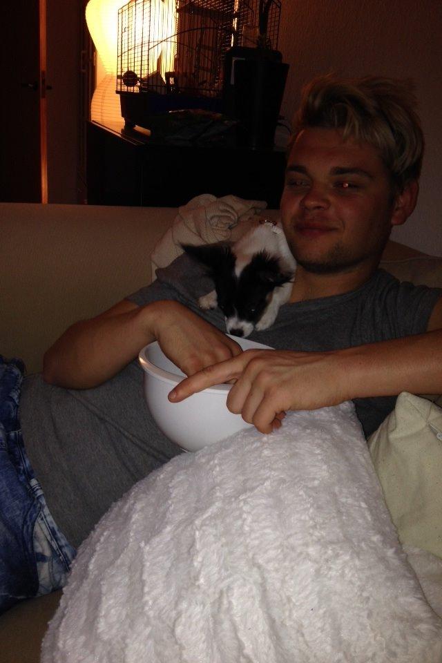 Blanding af racer Diva billede 6