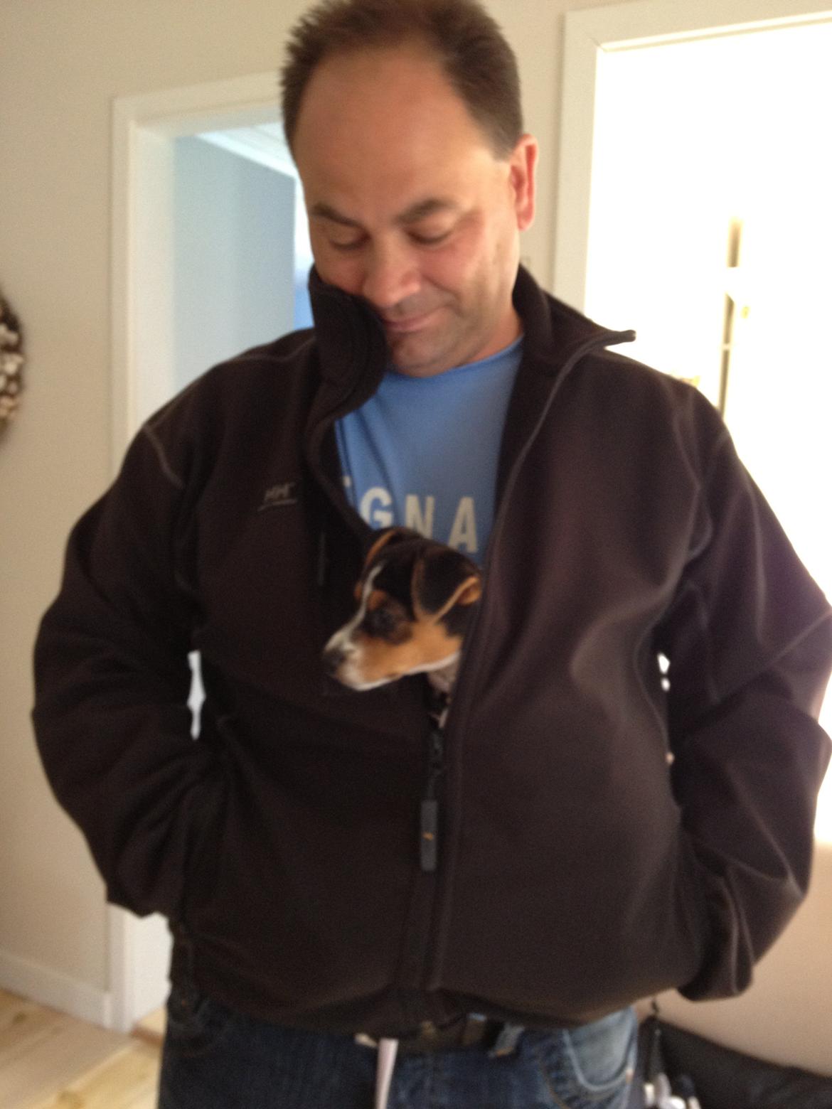 Dansk svensk gaardhund Moustgaard Ina aka. Molly billede 36