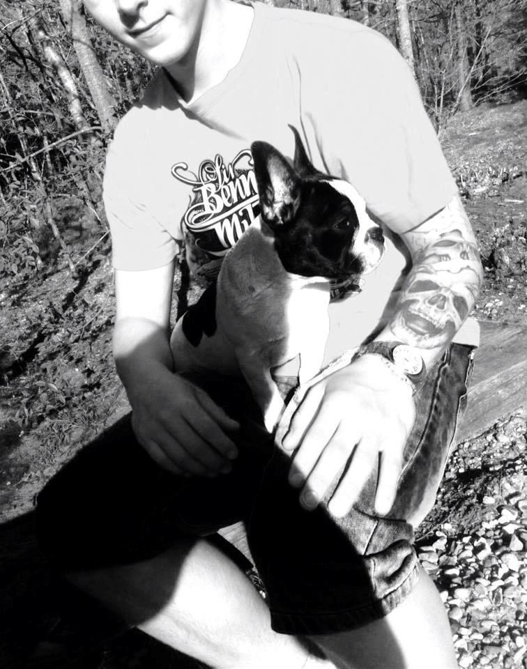 Fransk bulldog Enya billede 5