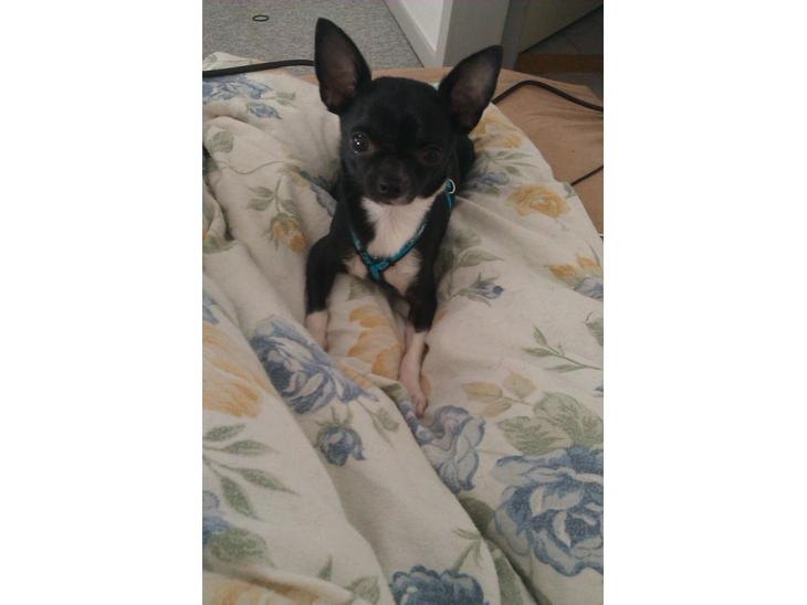 {{currentPhoto.altText}} billede {{currentPhoto.number}}