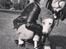 Whippet Liam Emil